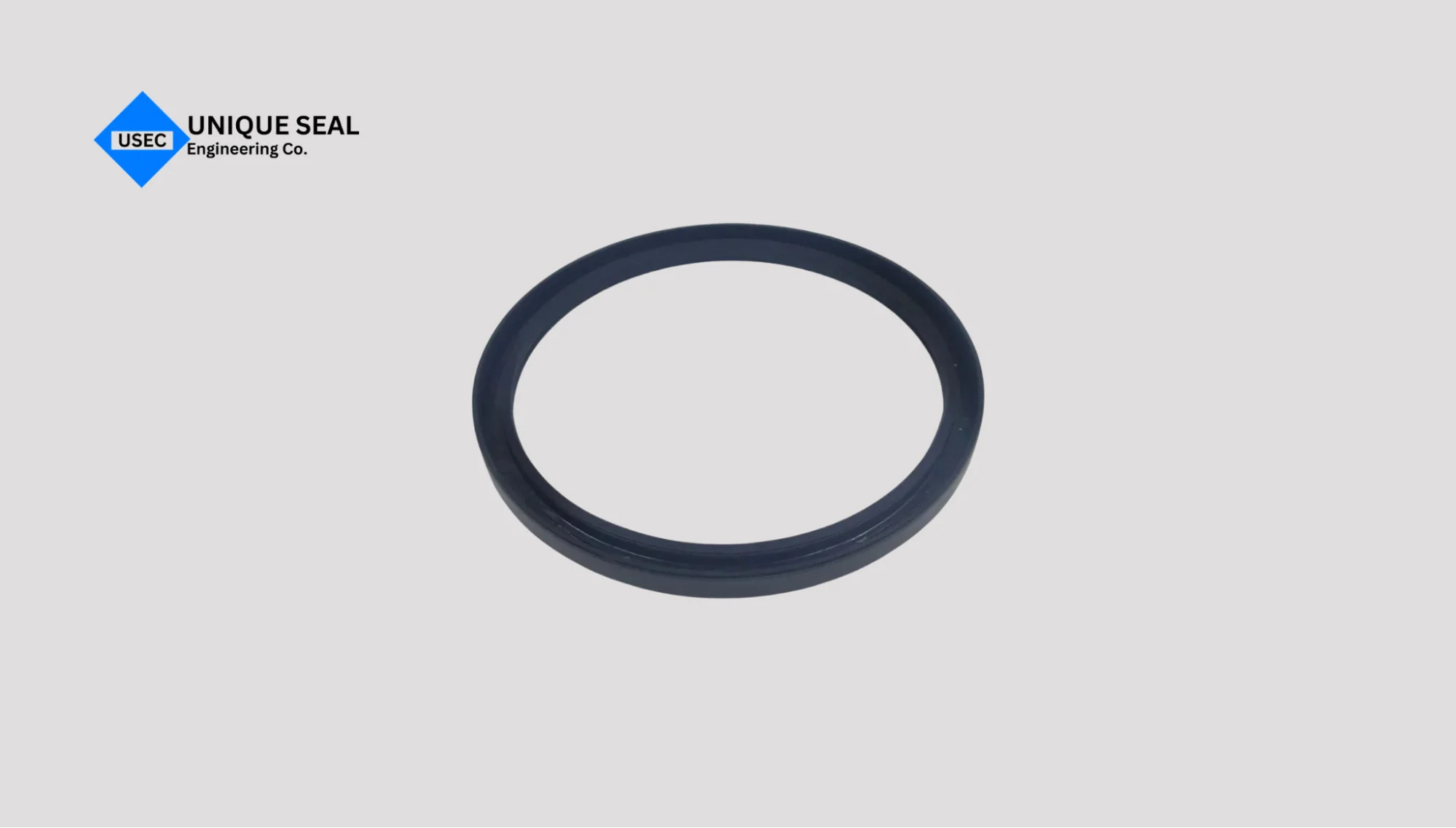 Air mechanical seal type used for non contact shaft sealing in rotating equipment.