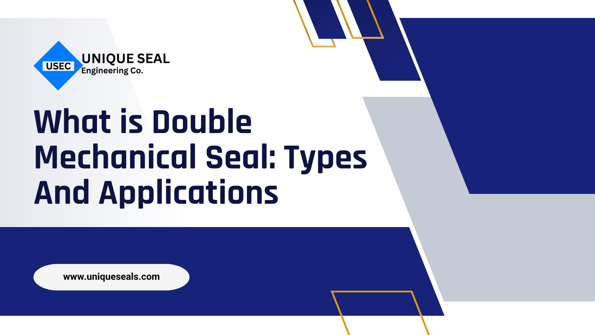 What is Double Mechanical Seal: Types and Applications