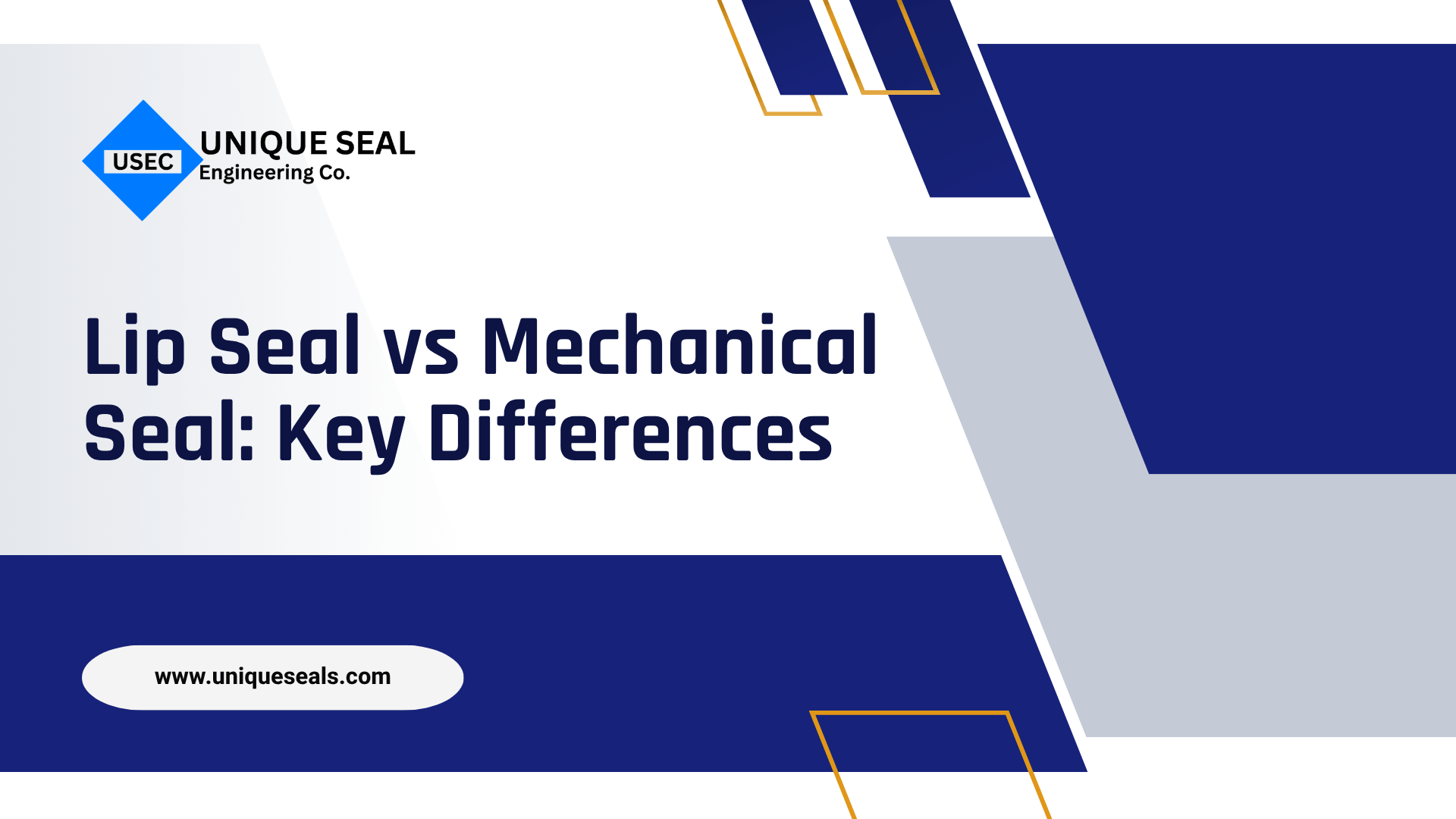 Lip Seal vs Mechanical Seal: Key Differences