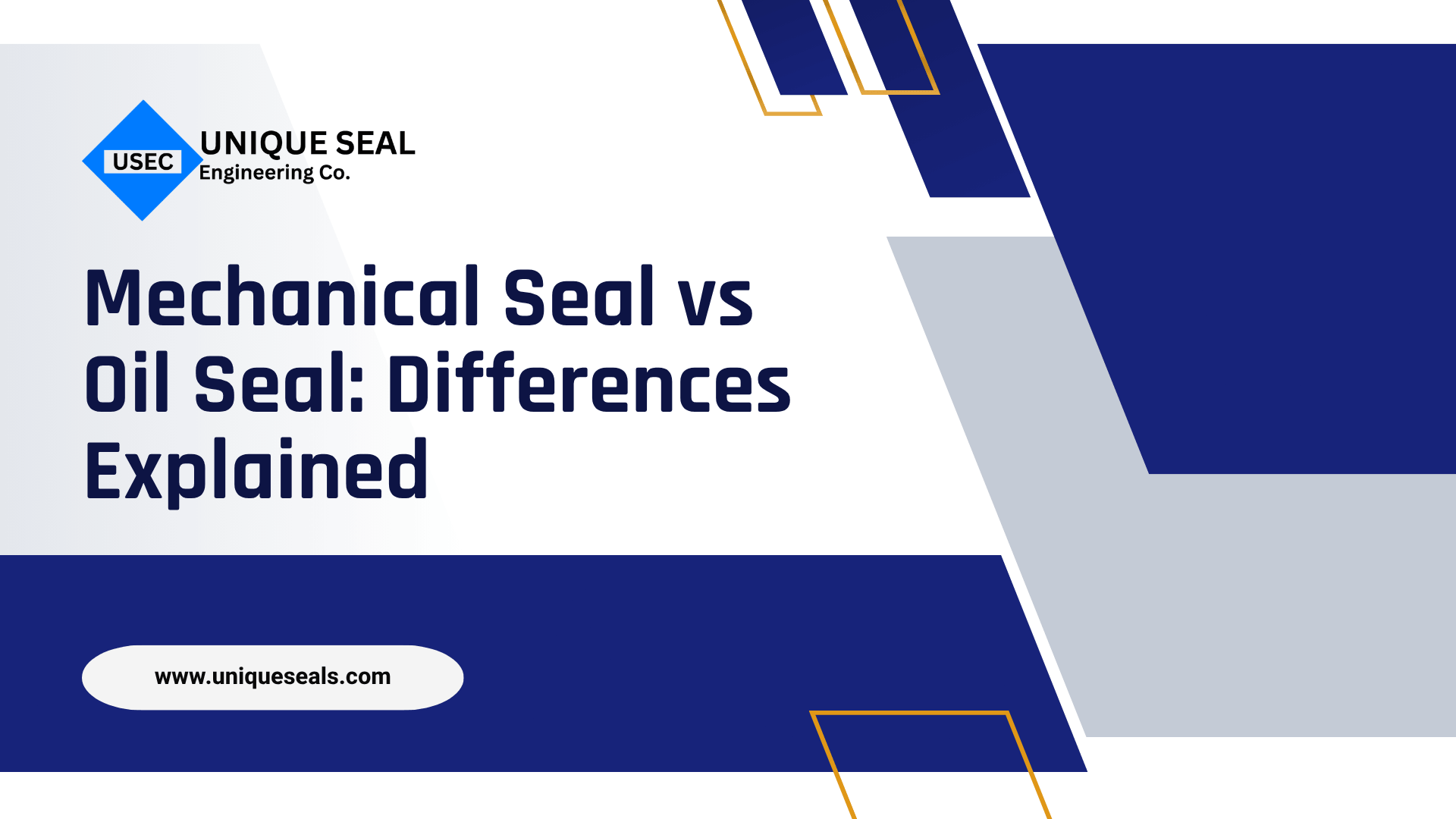 Mechanical Seal vs Oil Seal: Differences Explained